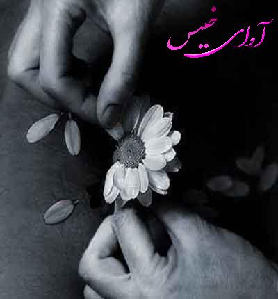 دانلود رمان دختر پاییزی از مرضیه آقایی دانلود رمان دختر پاییزی از مرضیه آقایی