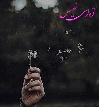 دانلود رمان فوکوس از مهدیه mhk دانلود رمان فوکوس از مهدیه mhk