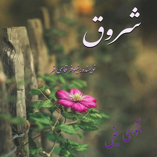 دانلود رمان شروق از نیلوفر قائمی فر دانلود رمان شروق از نیلوفر قائمی فر
