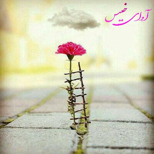 دانلود رمان زندگی دوباره از شیوا همتی دانلود رمان زندگی دوباره از شیوا همتی
