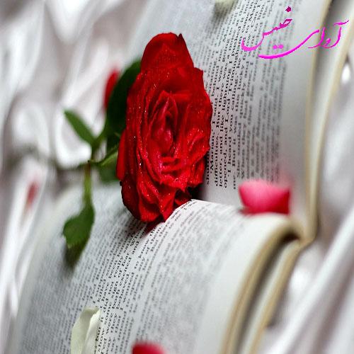 دانلود رمان قول میدم خوشبختت کنم  از فائزه بهشتی راد