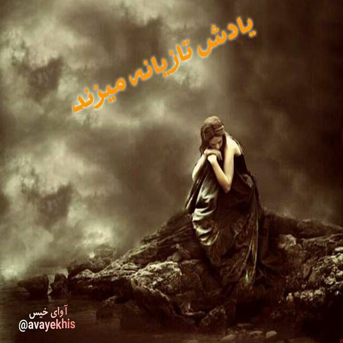 دانلود رمان یادش تازیانه میزند از سانیا سلطانی دانلود رمان یادش تازیانه میزند از سانیا سلطانی