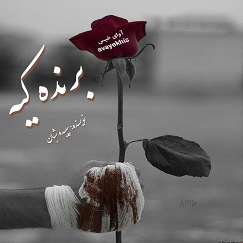 دانلود رمان برنده کیه  از سپیده شبان 
