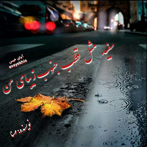 دانلود رمان سفید مثل قطب جنوب زیبای من از مهنا دانلود رمان سفید مثل قطب جنوب زیبای من از مهنا