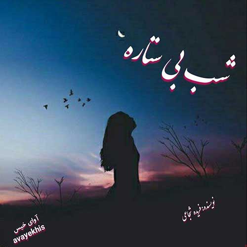 دانلود رمان شب بی ستاره از فریده شجاعی با لینک مستقیم دانلود رمان شب بی ستاره از فریده شجاعی با لینک مستقیم