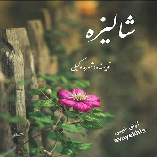 دانلود رمان شالیزه از شهره وکیلی لینک مستقیم دانلود رمان شالیزه از شهره وکیلی لینک مستقیم