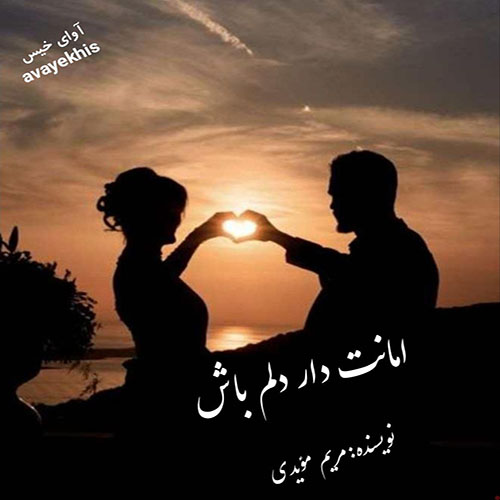دانلود رمان امانت دار دلم باش  از مریم‌ مؤیدی