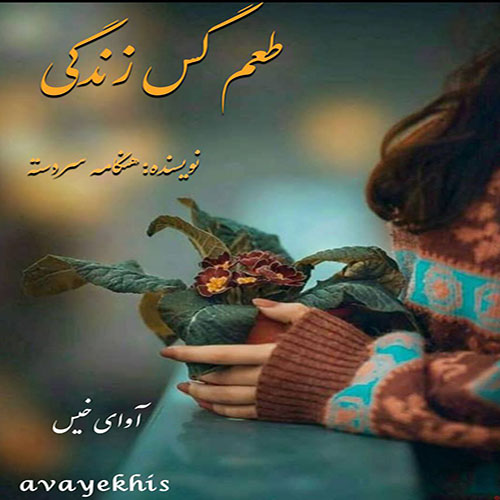 دانلود رمان طعم گس زندگی  از هنگامه سردسته