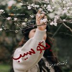 دانلود رمان بگو سیب  از زهرا ارجمندنیا