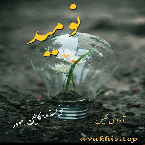 دانلود رمان نومید از کالین هوور دانلود رمان نومید از کالین هوور