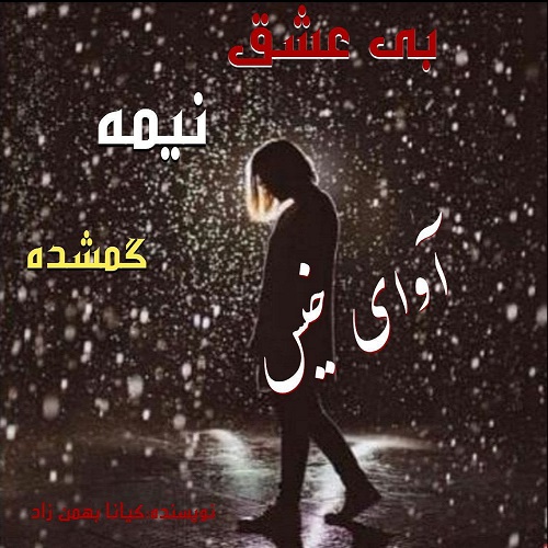 دانلود رمان بی عشق نیمه گمشده  از کیانا بهمن زاد 