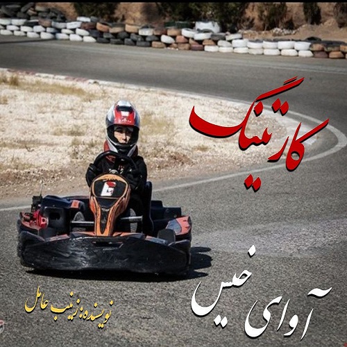دانلود رمان کارتینگ از زینب عامل دانلود رمان کارتینگ از زینب عامل