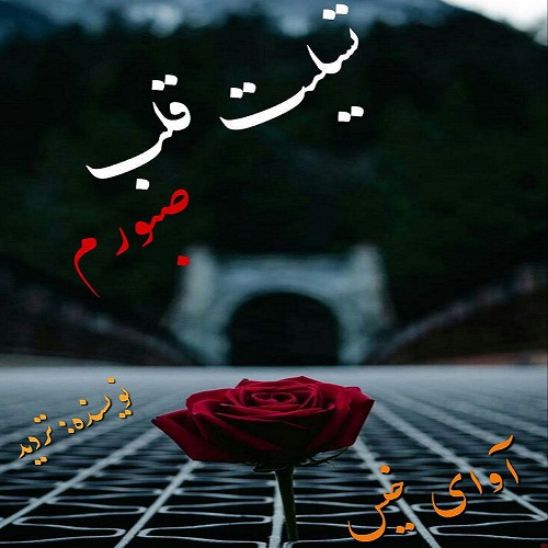دانلود رمان تسلیت قلب صبورم از تردید دانلود رمان تسلیت قلب صبورم از تردید