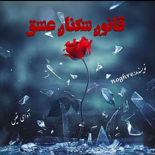 دانلود رمان قانون شکنان عشق از noghre دانلود رمان قانون شکنان عشق از noghre