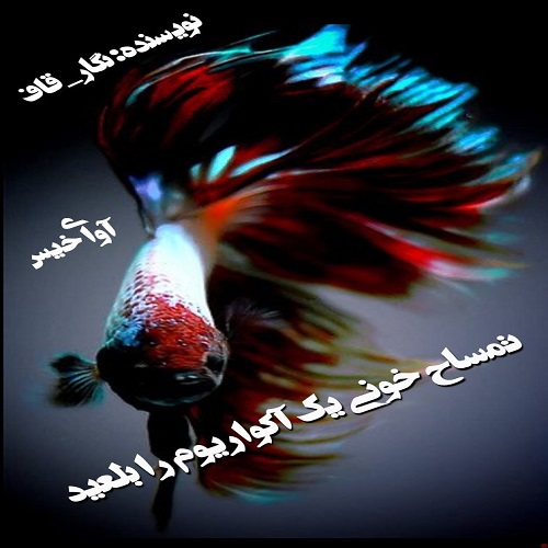 دانلود رمان تمساح خونی یک آکواریوم را بلعید از نگار_قاف دانلود رمان تمساح خونی یک آکواریوم را بلعید از نگار_قاف