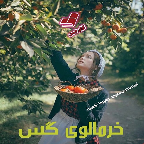 دانلود رمان خرمالوی گس از معصومه راهپیما (کهربا) دانلود رمان خرمالوی گس از معصومه راهپیما (کهربا)