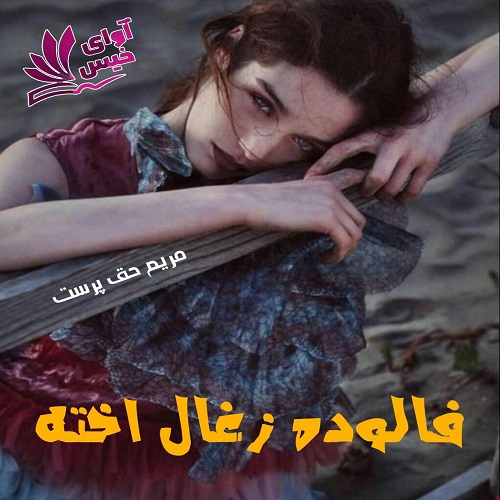 دانلود رمان فالوده زغال اخته از مریم حق پرست دانلود رمان فالوده زغال اخته از مریم حق پرست