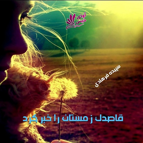 دانلود رمان قاصدک زمستان را خبر کرد از سپیده فرهادی دانلود رمان قاصدک زمستان را خبر کرد از سپیده فرهادی