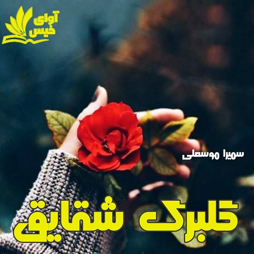 دانلود رمان گلبرگ شقایق از سمیرا موسعلی دانلود رمان گلبرگ شقایق از سمیرا موسعلی