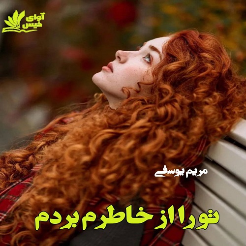 دانلود رمان تو را از خاطرم بردم دانلود رمان تو را از خاطرم بردم