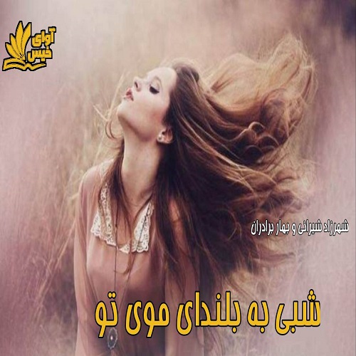 دانلود رمان شبی به بلندای موی تو از شهرزاد شیرانی و بهار برادران دانلود رمان شبی به بلندای موی تو از شهرزاد شیرانی و بهار برادران