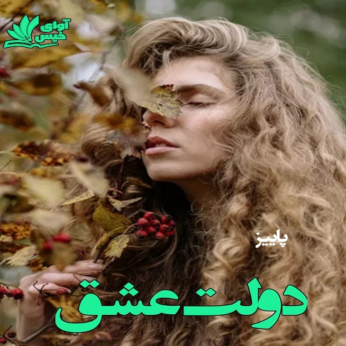 دانلود رمان دولت عشق از پاییز دانلود رمان دولت عشق از پاییز