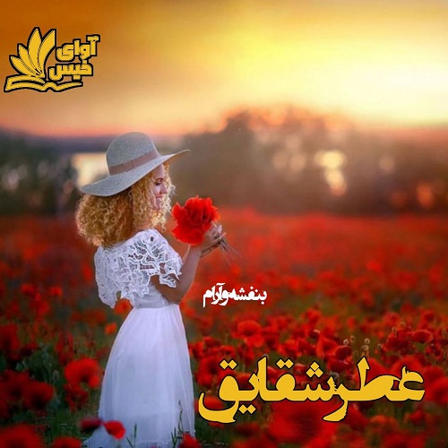 دانلود رمان عطر شقایق از بنفشه و آرام دانلود رمان عطر شقایق از بنفشه و آرام