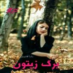 دانلود رمان برگ زیتون  از سارا جمشیدیان