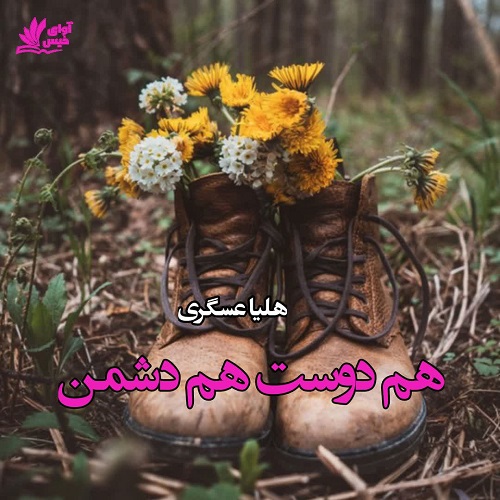 دانلود رمان هم دوست هم دشمن از هلیا عسگری دانلود رمان هم دوست هم دشمن از هلیا عسگری