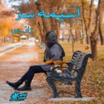 دانلود رمان آسیمه سر  از راز_س