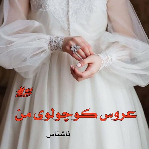 دانلود رمان عروس کوچولوی من از ناشناس دانلود رمان عروس کوچولوی من از ناشناس