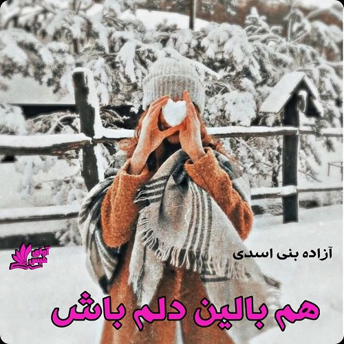 دانلود رمان هم بالین دلم باش از آزاده بنی اسدی دانلود رمان هم بالین دلم باش از آزاده بنی اسدی