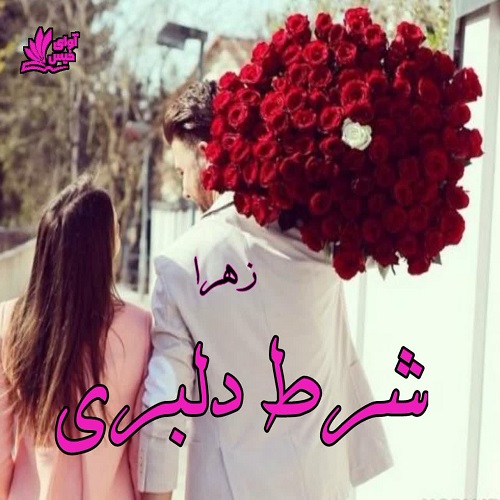 دانلود رمان شرط دلبری از زهرا دانلود رمان شرط دلبری از زهرا