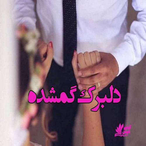 دانلود رمان دلبرک گمشده از ناشناس دانلود رمان دلبرک گمشده از ناشناس