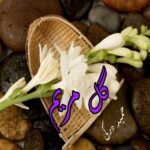 دانلود داستان کوتاه گل مریم  از حمید درکی