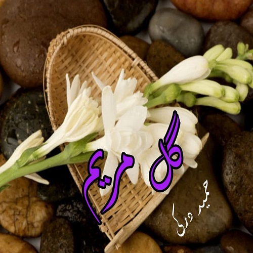 دانلود داستان کوتاه گل مریم از حمید درکی دانلود داستان کوتاه گل مریم از حمید درکی