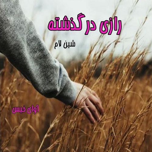 دانلود رمان رازی در گذشته از شین لام دانلود رمان رازی در گذشته از شین لام