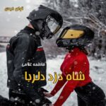 دانلود رمان شاه دزد دلربا  از فاطمه غلامی