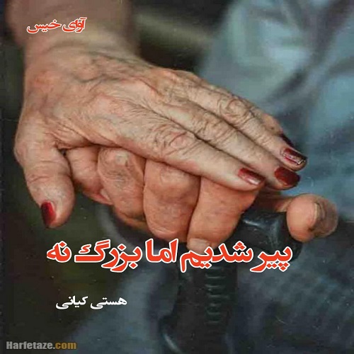 دانلود رمان پیر شدیم اما بزرگ نه  از هستی کیانی