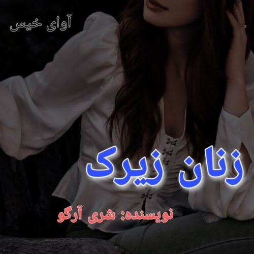 دانلود رمان زنان زیرک از شری آرگو دانلود رمان زنان زیرک از شری آرگو