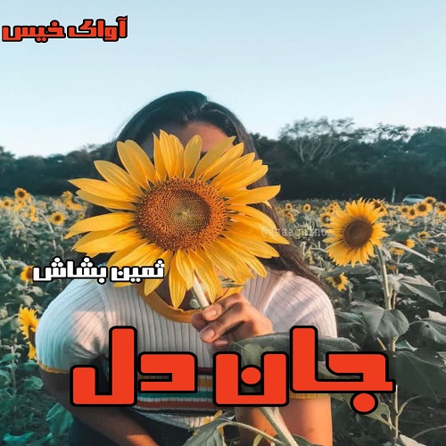 دانلود رمان جان دل از ثمین بشاش دانلود رمان جان دل از ثمین بشاش