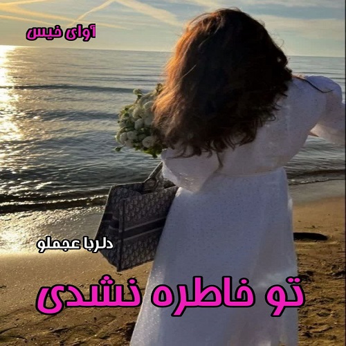 دانلود رمان تو خاطره نشدی از دلربا عجملو دانلود رمان تو خاطره نشدی از دلربا عجملو