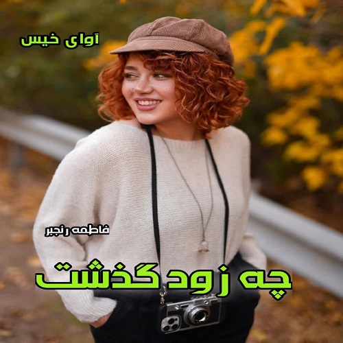 دانلود رمان چه زود گذشت  از فاطمه رنجبر