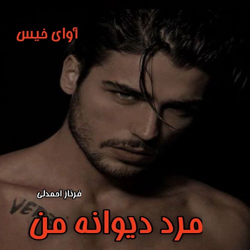 دانلود رمان مرد دیوانه من  از فرناز احمدلی