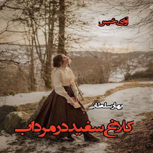 دانلود رمان کلاغ سفید در مرداب از بهار سلطانی دانلود رمان کلاغ سفید در مرداب از بهار سلطانی