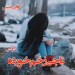 دانلود رمان ناجی زخم خورده  از نرگس