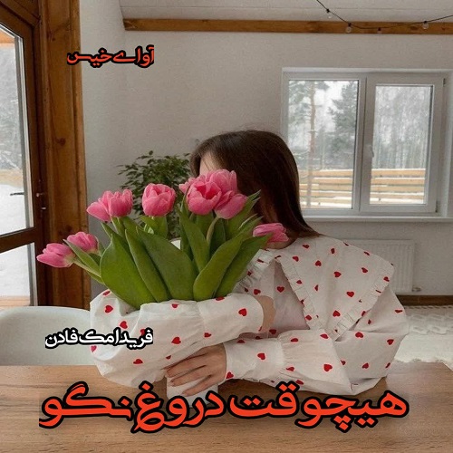 دانلود رمان هیچوقت دروغ نگو  از فریدا مک فادن