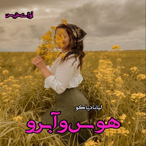 دانلود رمان هوس و آبرو (جلد سوم)  از لیانا دیاکو