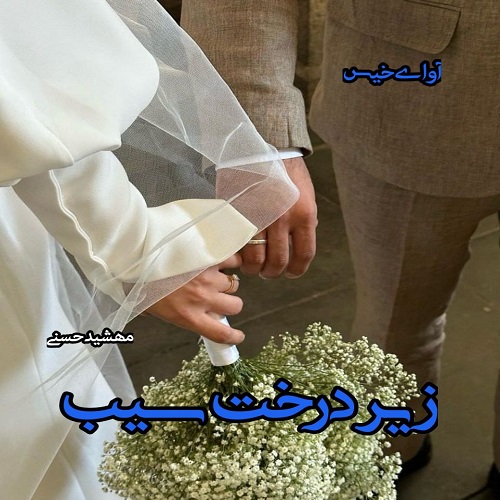 دانلود رمان زیر درخت سیب از مهشید حسنی دانلود رمان زیر درخت سیب از مهشید حسنی
