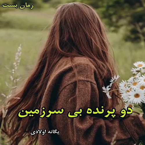 دانلود رمان دو پرنده بی سرزمین از یگانه اولادی pdf دانلود رمان دو پرنده بی سرزمین از یگانه اولادی pdf